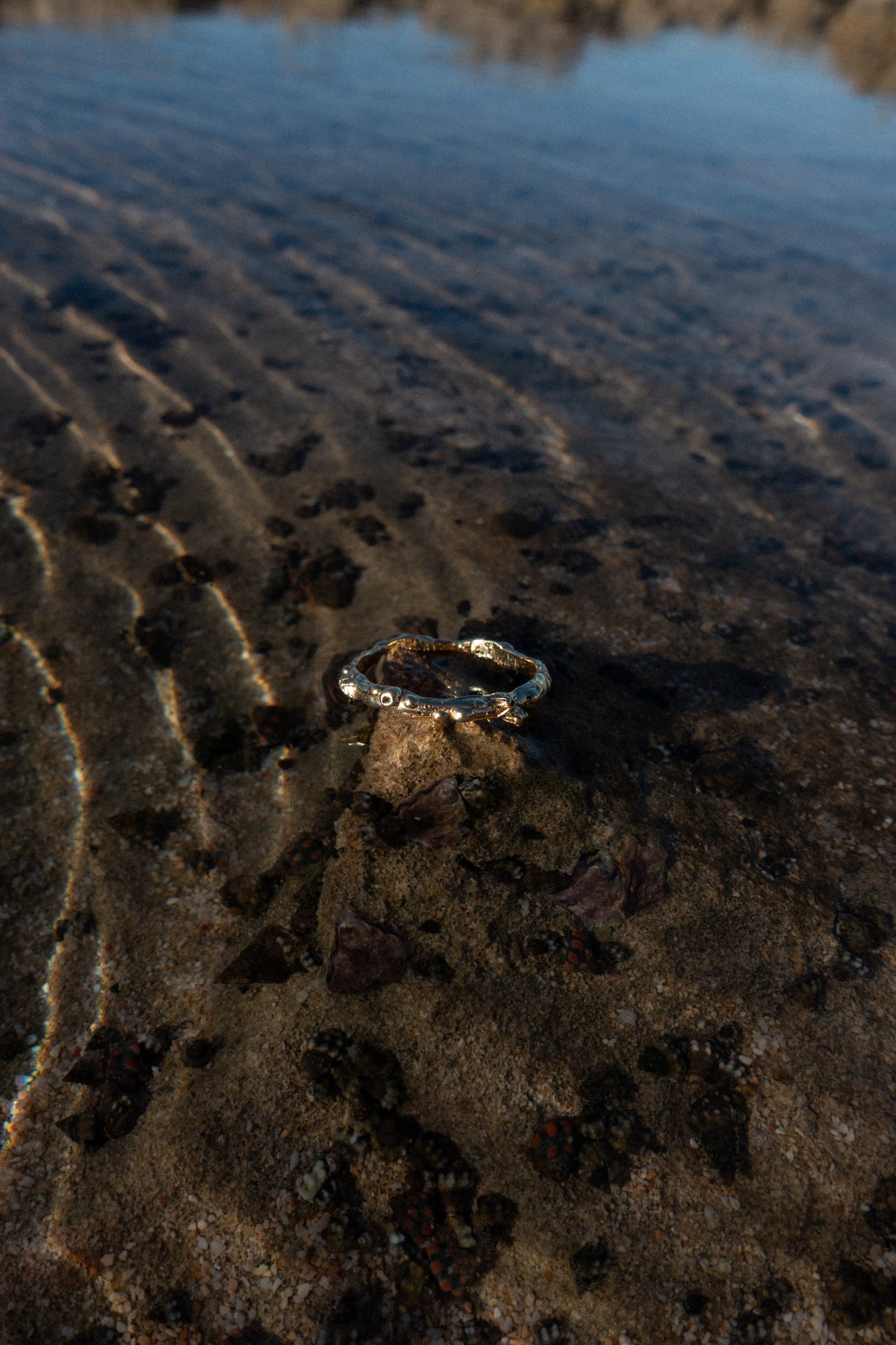 Shipwrecked Ring (9k gold) ~ Size 7
