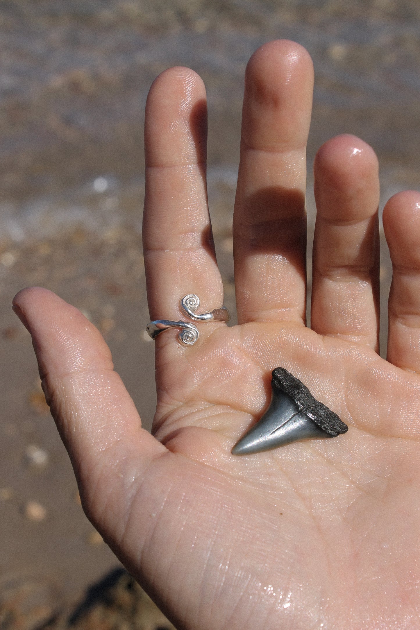 Voyager Ring ~ Adjustable