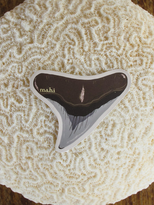 Shark Tooth Sticker