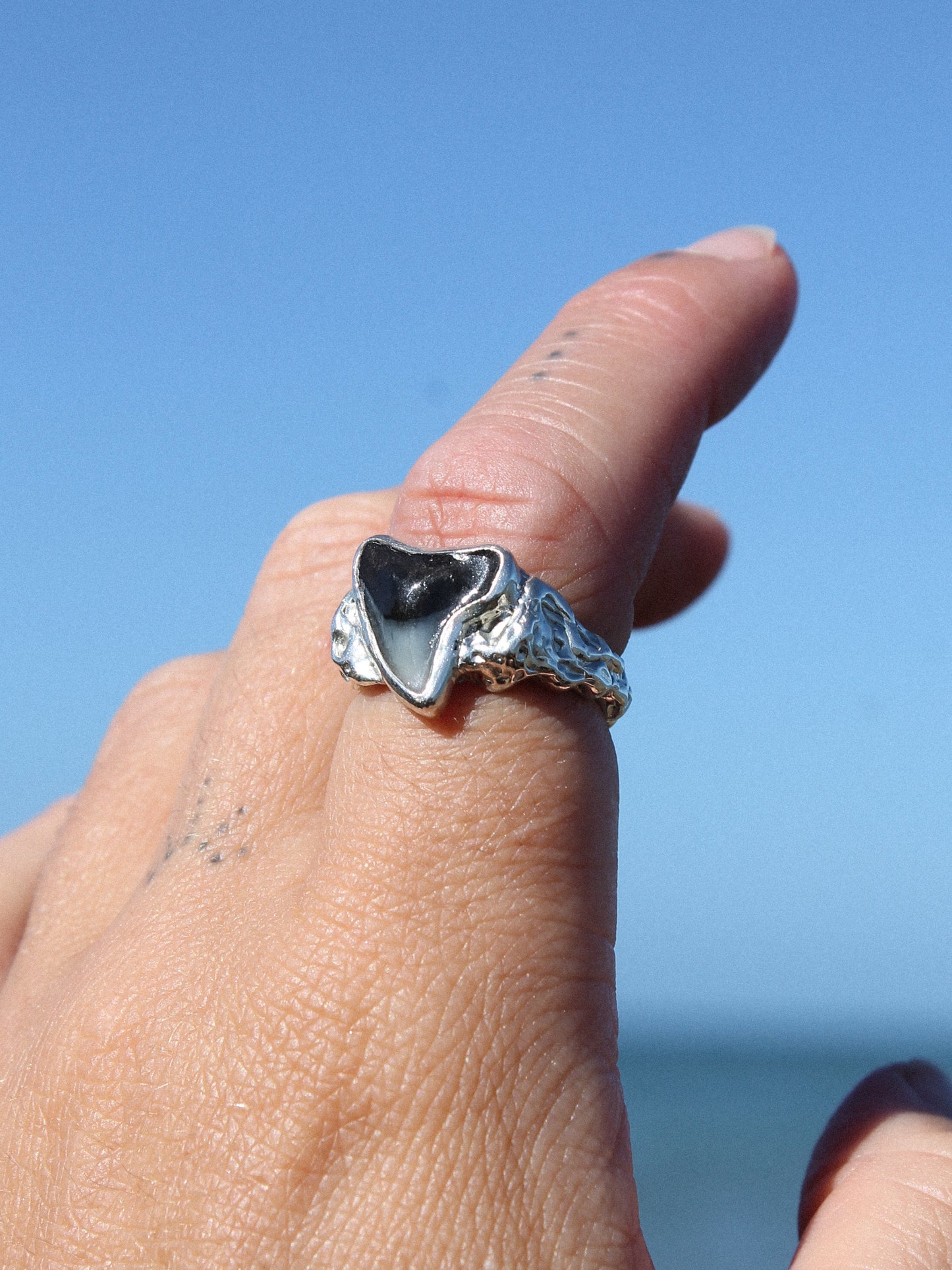 Fluidity Signet Ring ~ 6