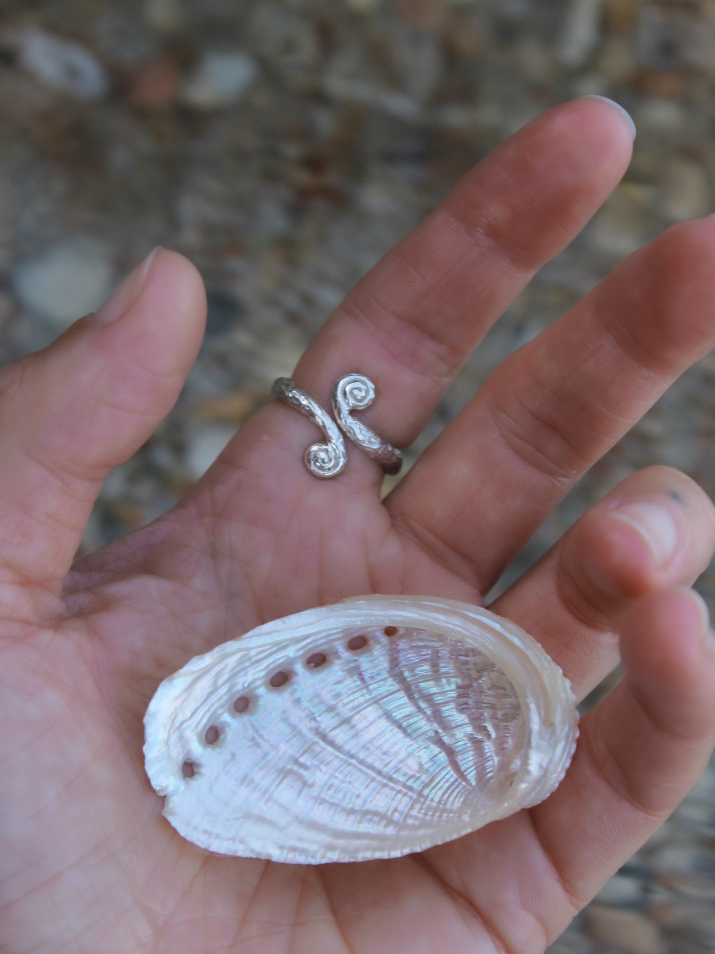 Traveller Ring