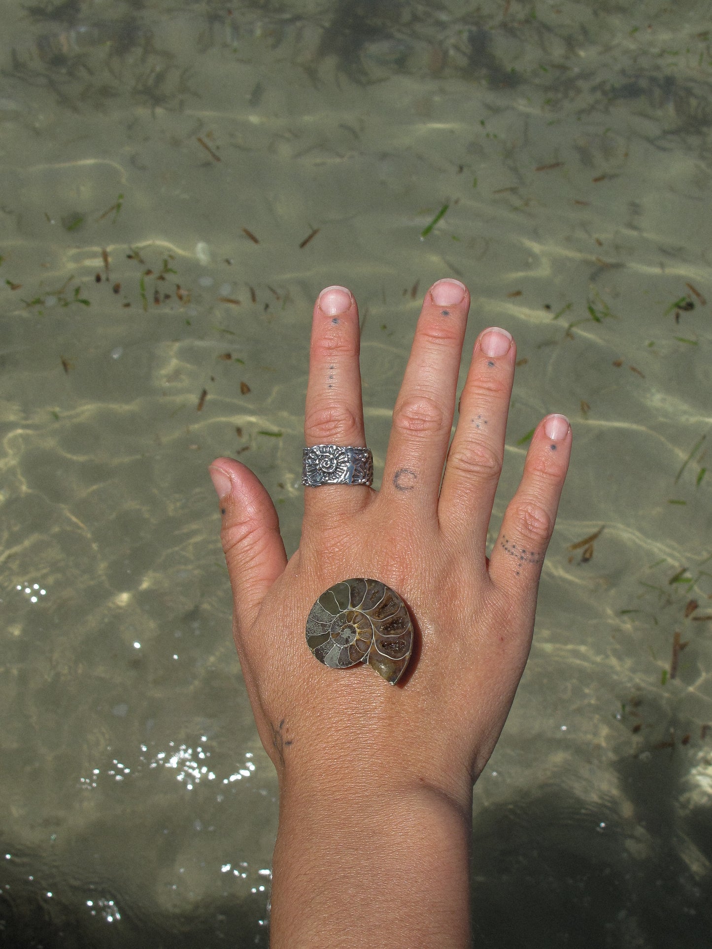 Fossilised Ring ~ Size 8