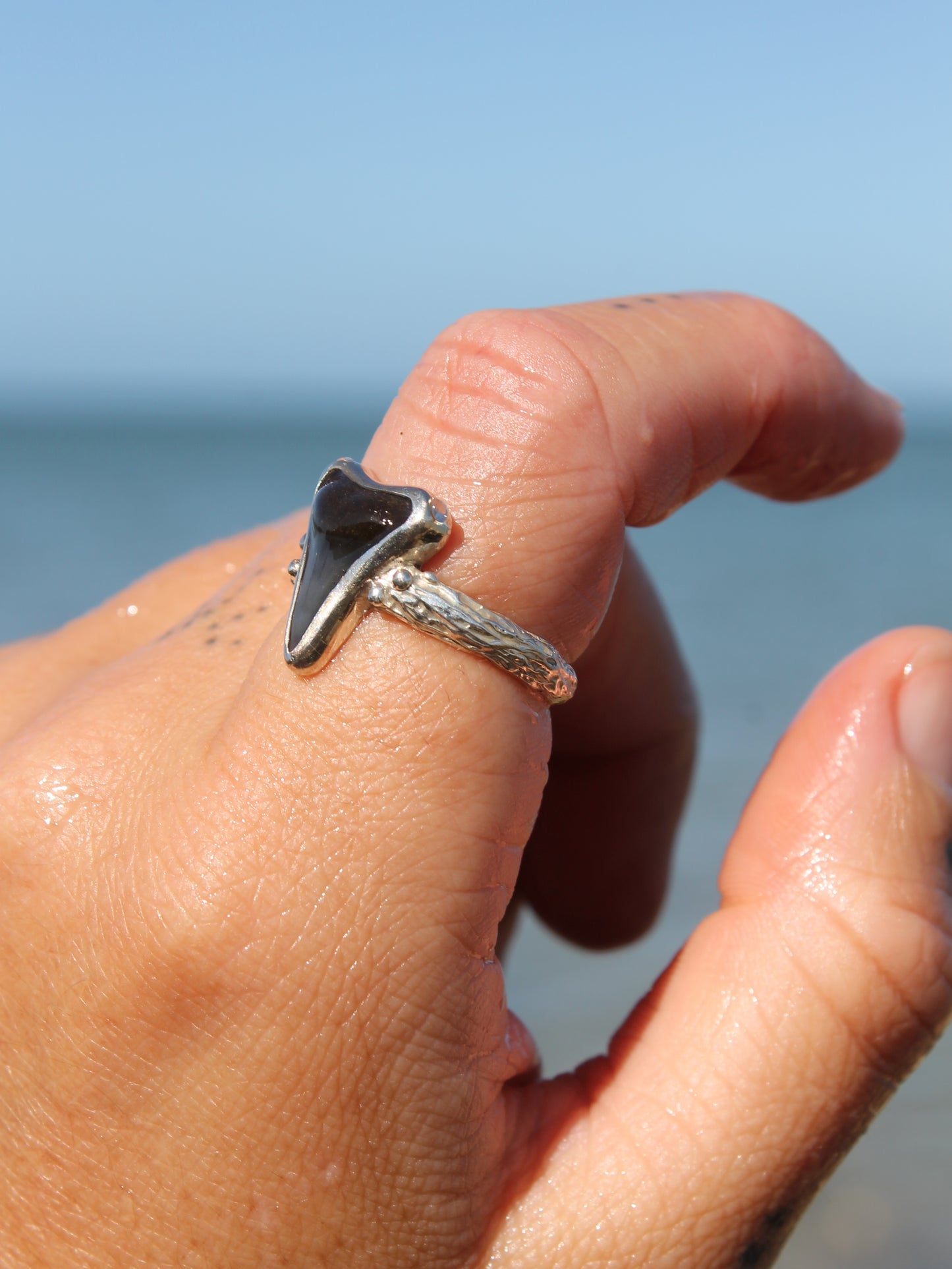 Traveller Ring