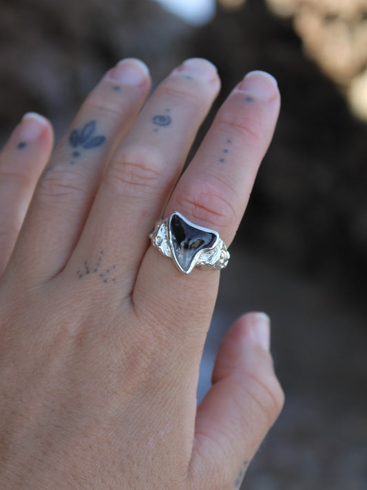 Fluidity Signet Ring ~ 6