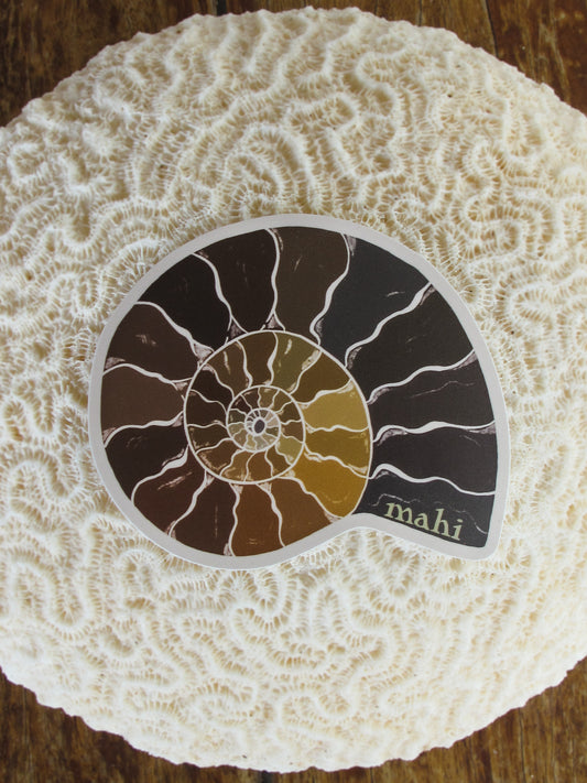 Ammonite sticker