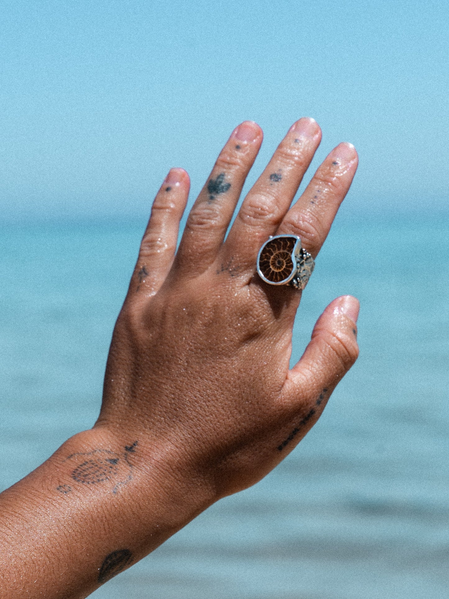 Seabed Relic Ring