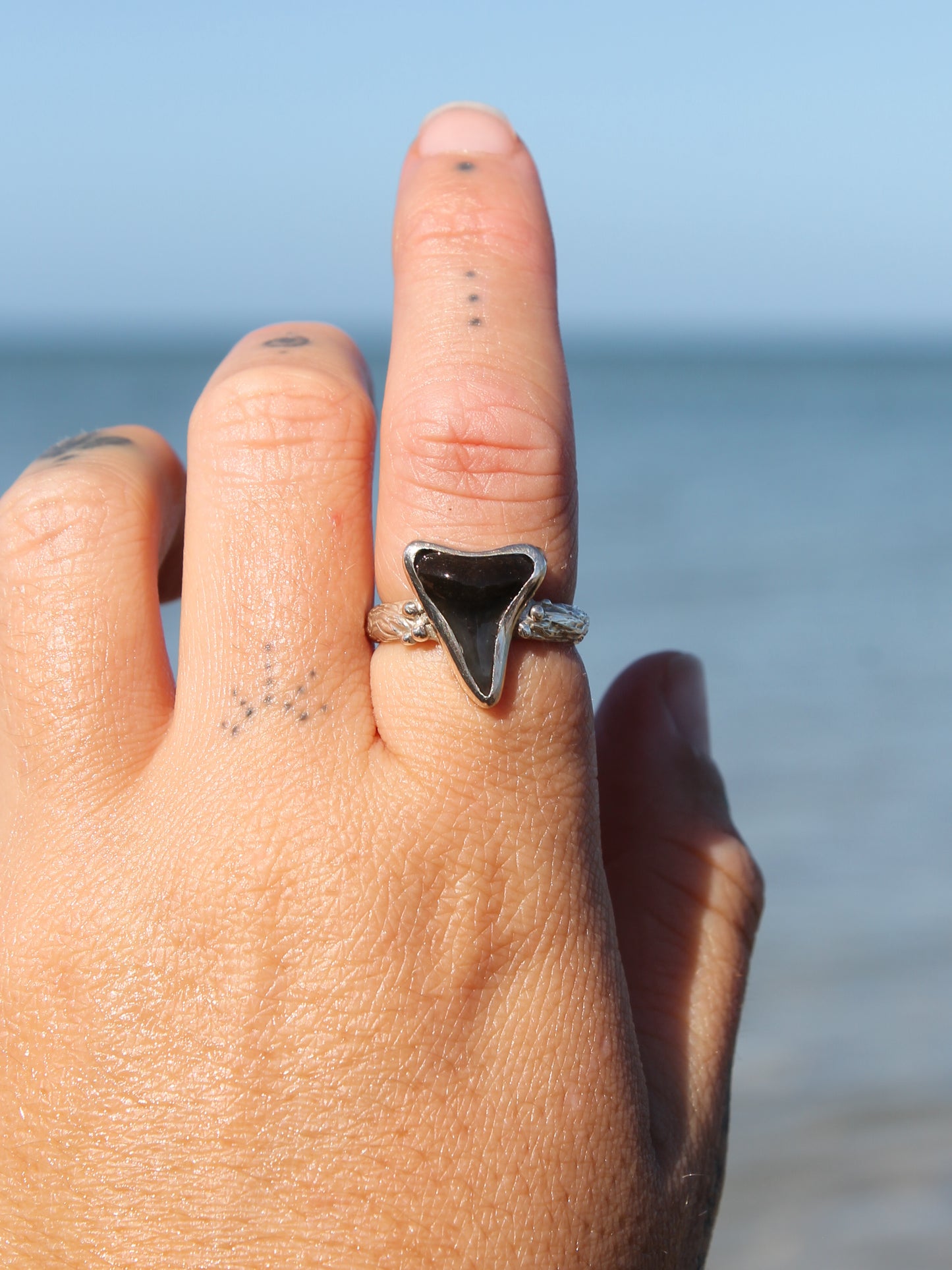 Traveller Ring