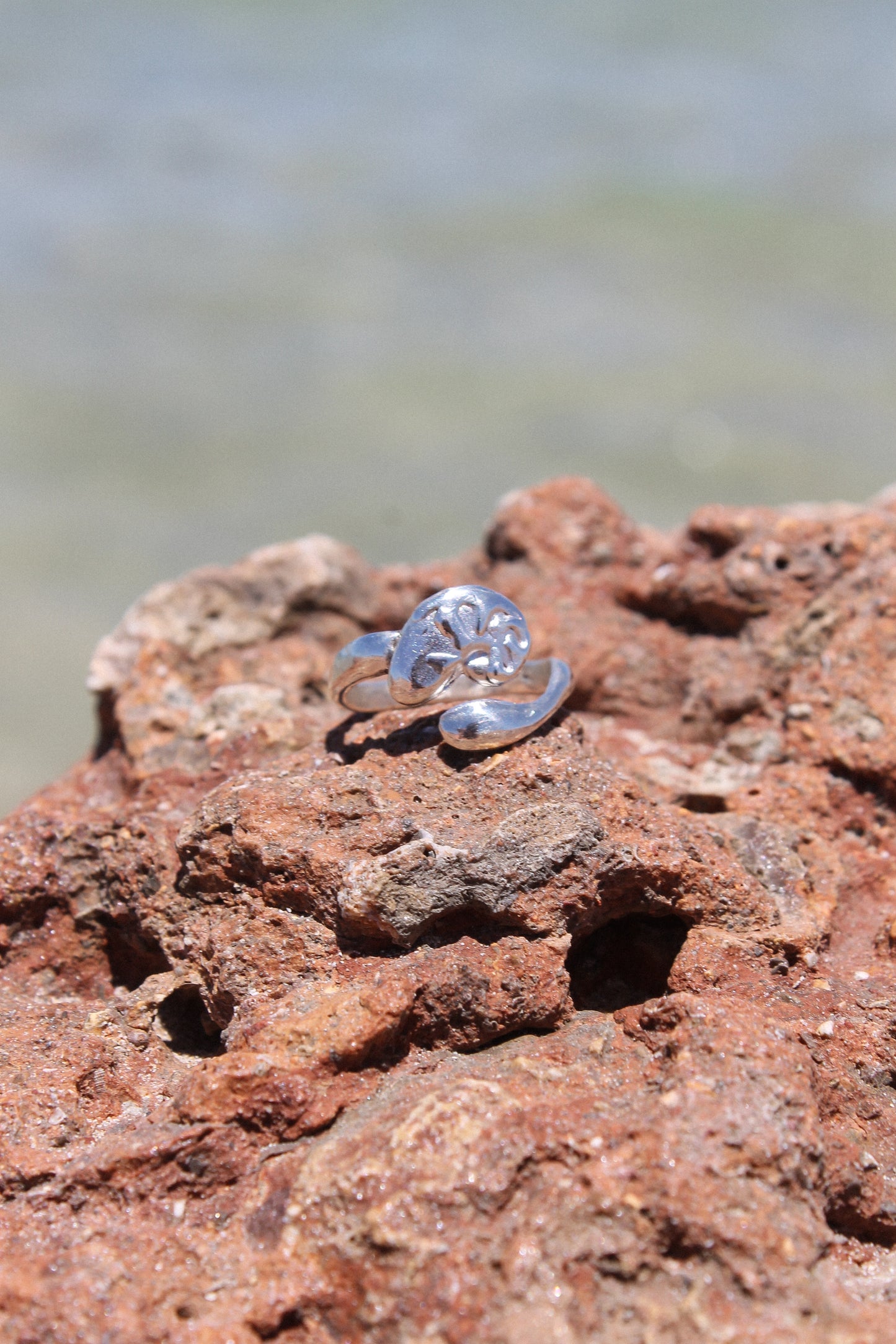 Nautili Ring ~ Adjustable